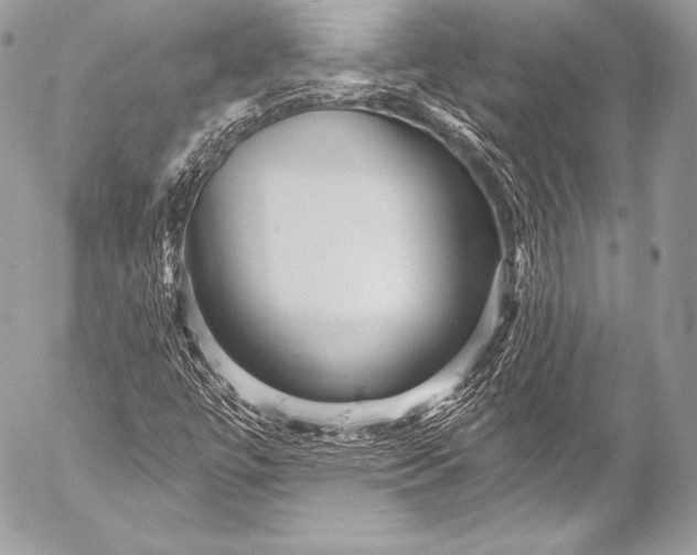 X0000053061447200507251437