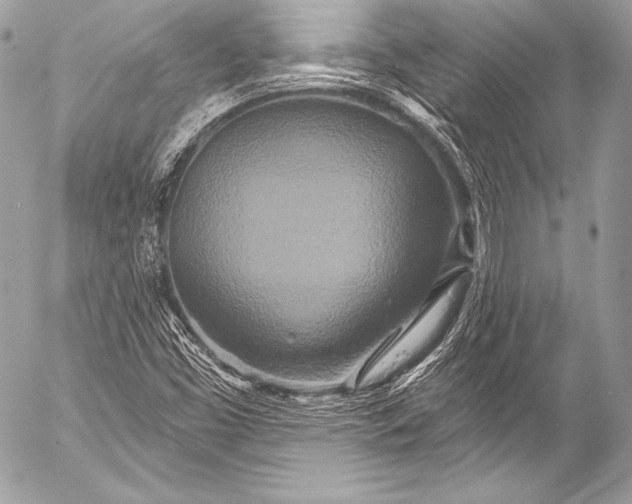 X0000053061453200507251436
