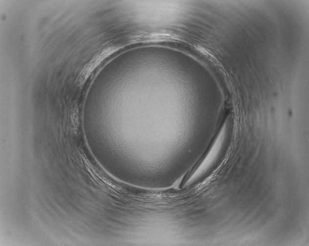 X0000053061457200507251436
