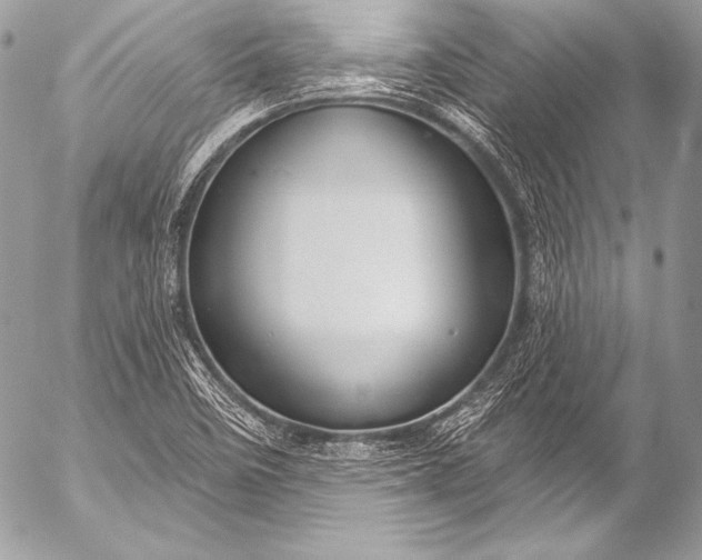 X0000053061458200507251436