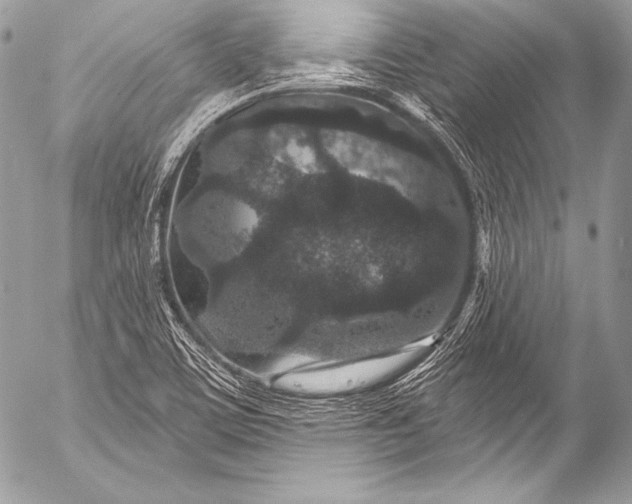 X0000053061459200507251436