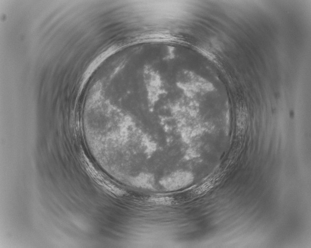 X0000053061466200507251436