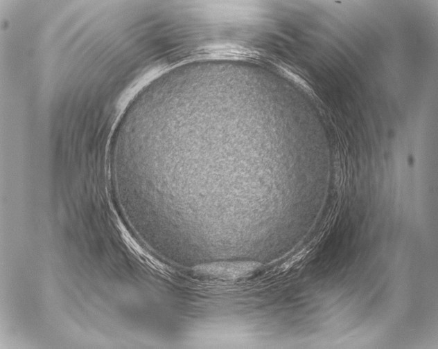 X0000053061471200507251436
