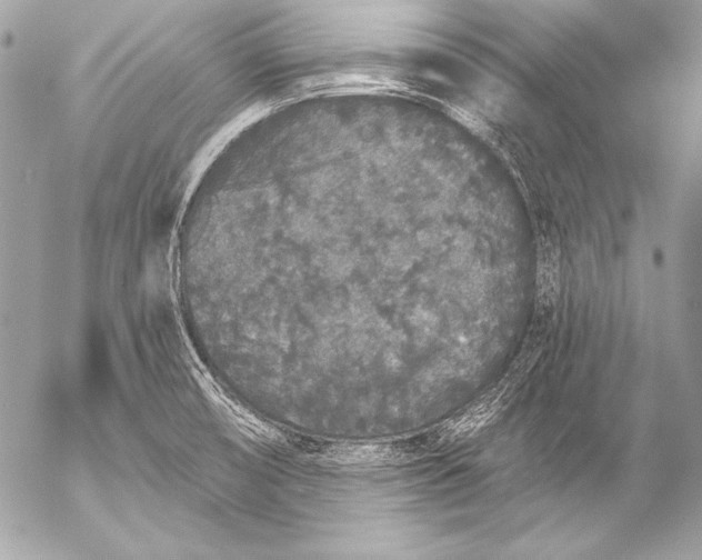 X0000053061474200507251436