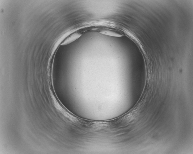 X0000053061483200507251436