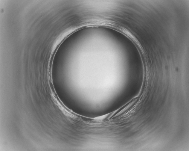 X0000053061485200507251436
