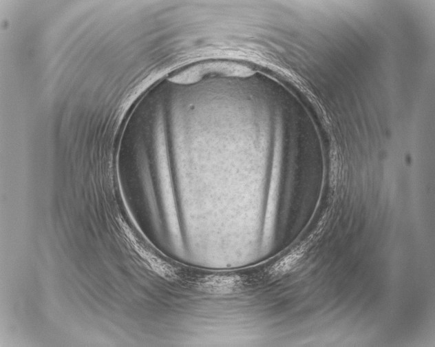 X0000053061513200507251435