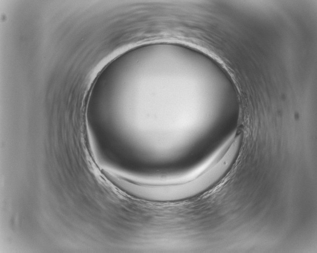 X0000053061534200507251436