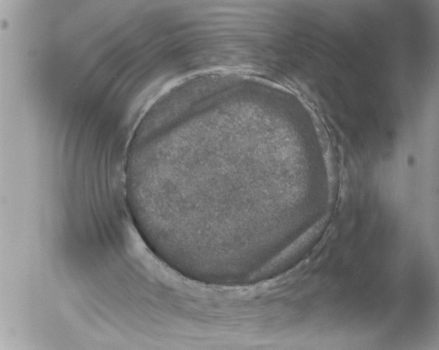 X0000053060002200508011926