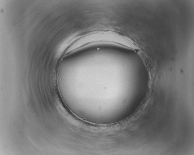 X0000053060005200508011926