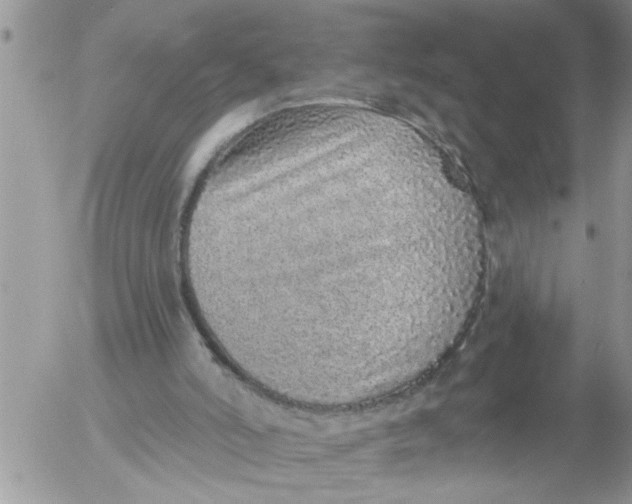 X0000053060006200508011926