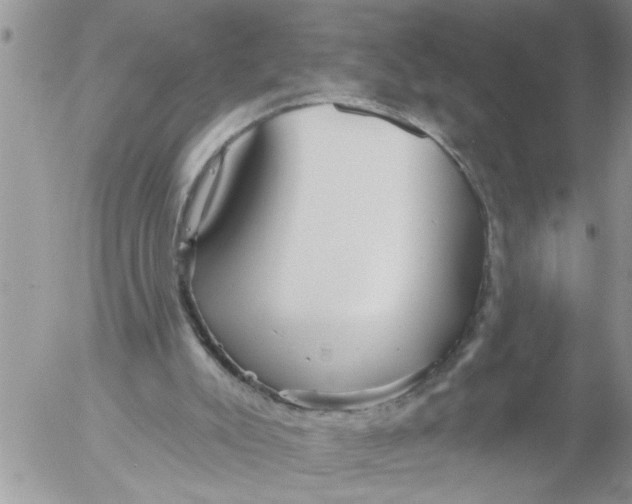 X0000053060007200508011926