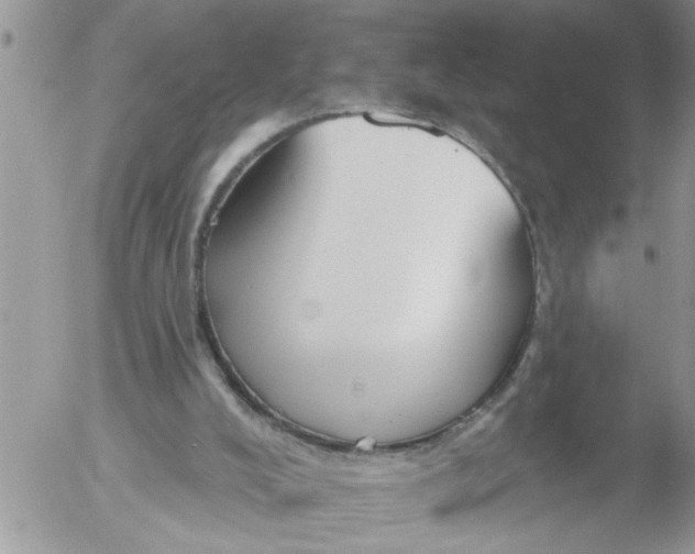 X0000053060008200508011926