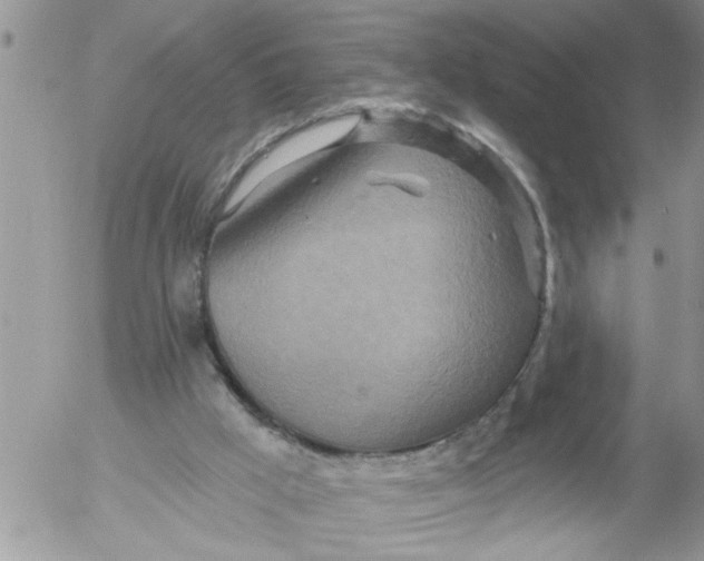 X0000053060009200508011926