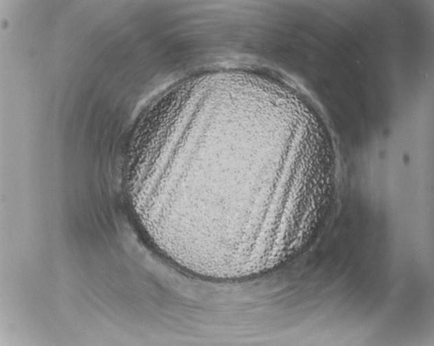 X0000053060010200508011926