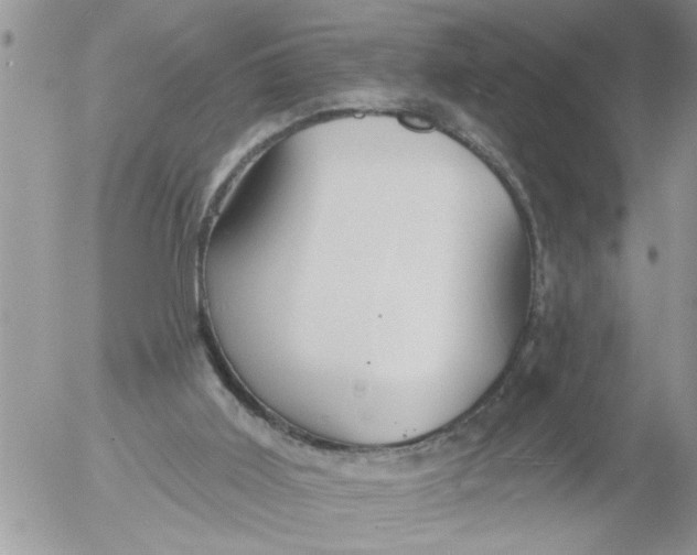 X0000053060011200508011926