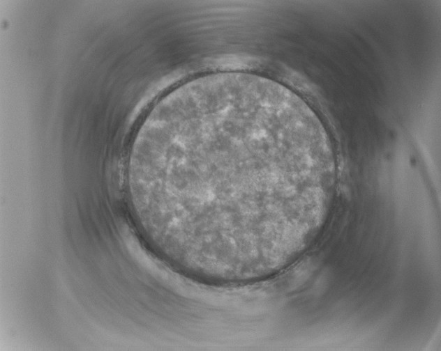 X0000053060012200508011926