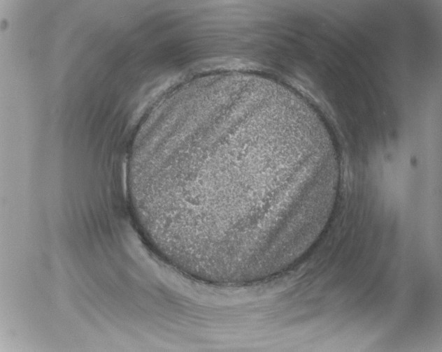 X0000053060014200508011926