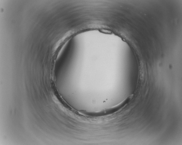 X0000053060015200508011926