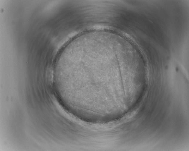 X0000053060016200508011926