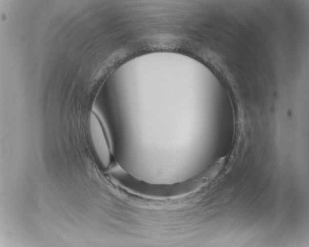 X0000053060017200508011926