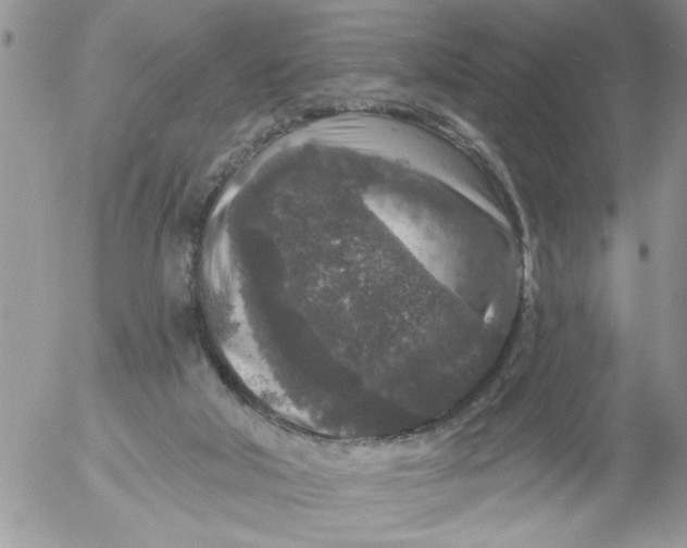 X0000053060018200508011926