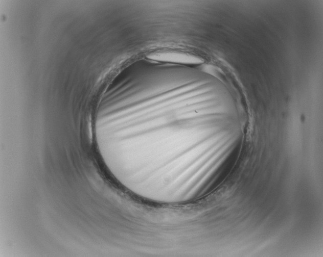 X0000053060020200508011926