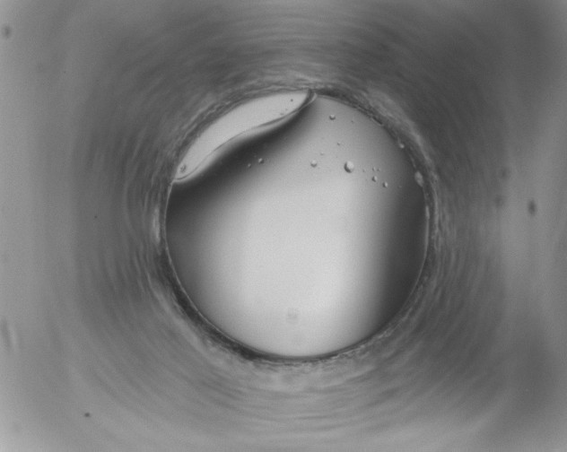 X0000053060021200508011926