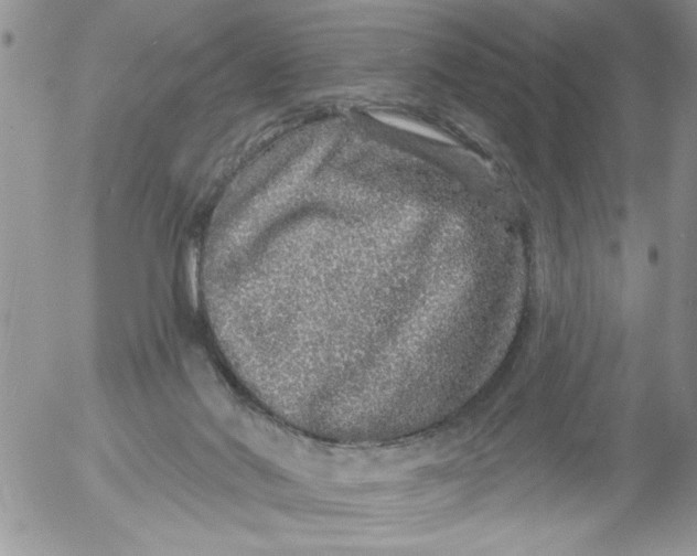 X0000053060022200508011926