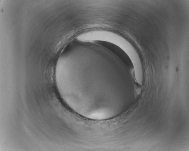 X0000053060023200508011926