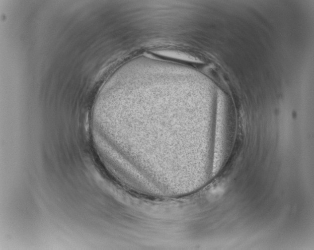 X0000053060024200508011926