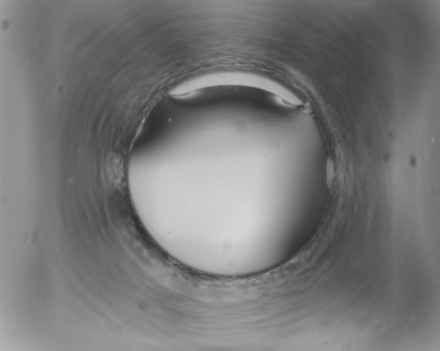 X0000053060025200508011926