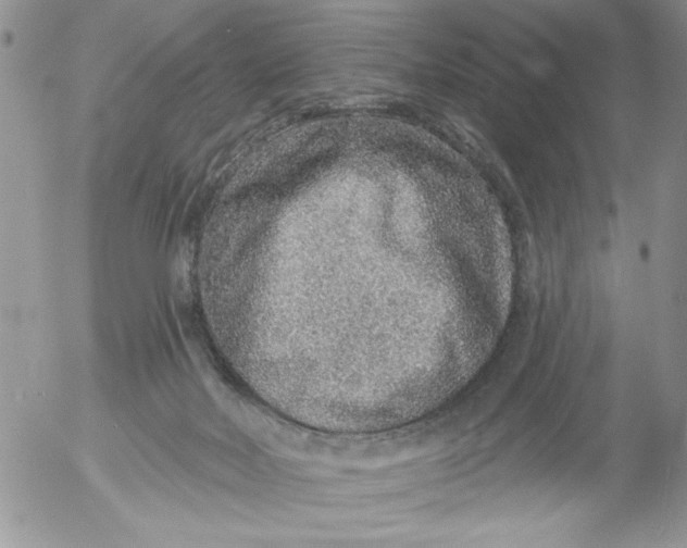 X0000053060026200508011926