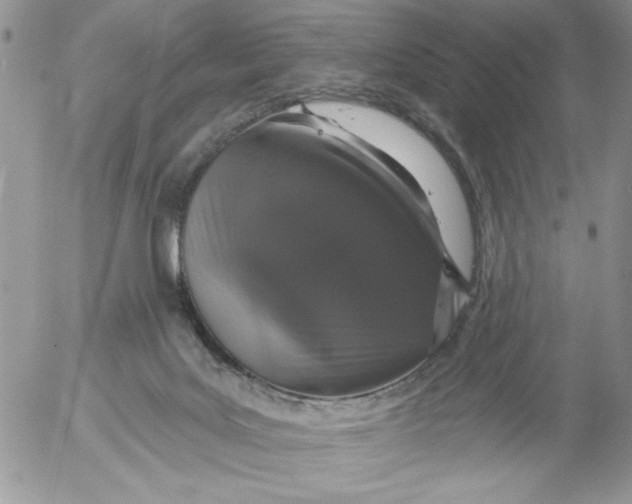 X0000053060027200508011926