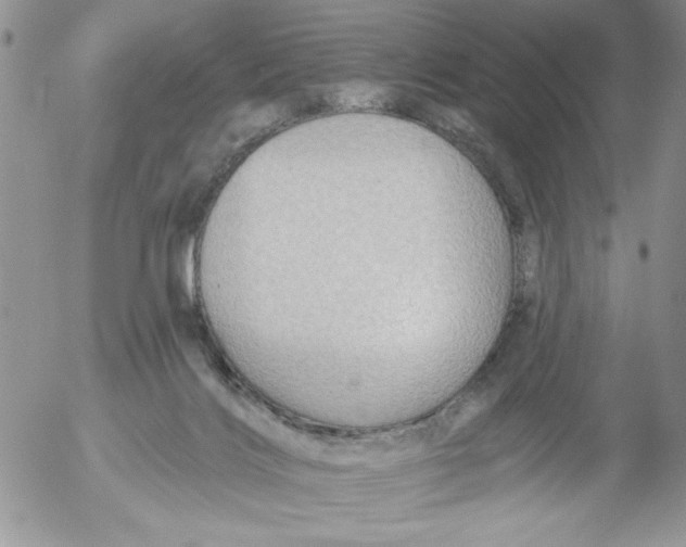 X0000053060028200508011926