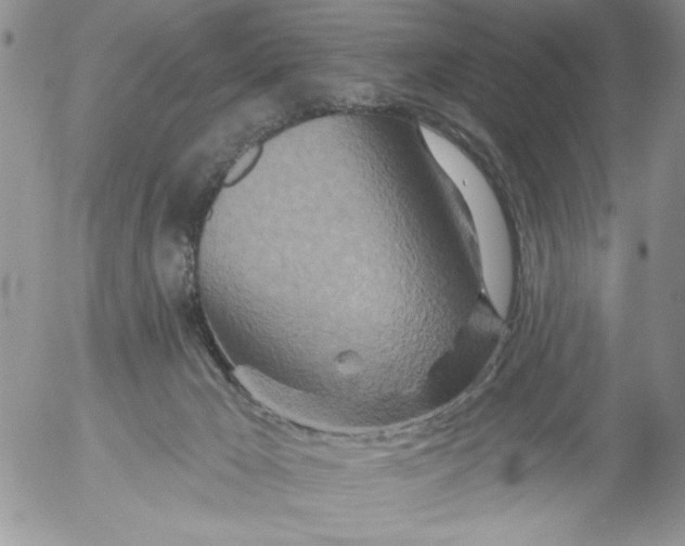 X0000053060029200508011926