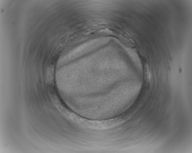 X0000053060030200508011926