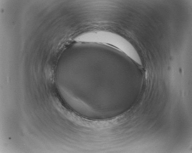 X0000053060031200508011925