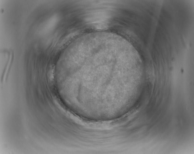 X0000053060032200508011925