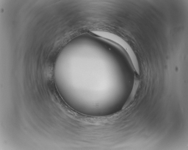 X0000053060033200508011925