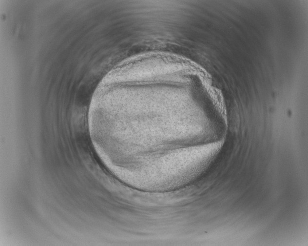 X0000053060034200508011925