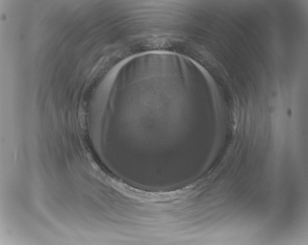 X0000053060035200508011925