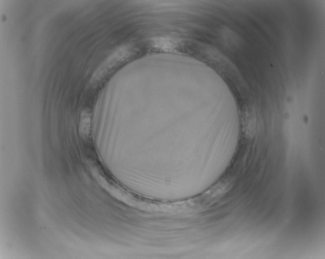 X0000053060036200508011925