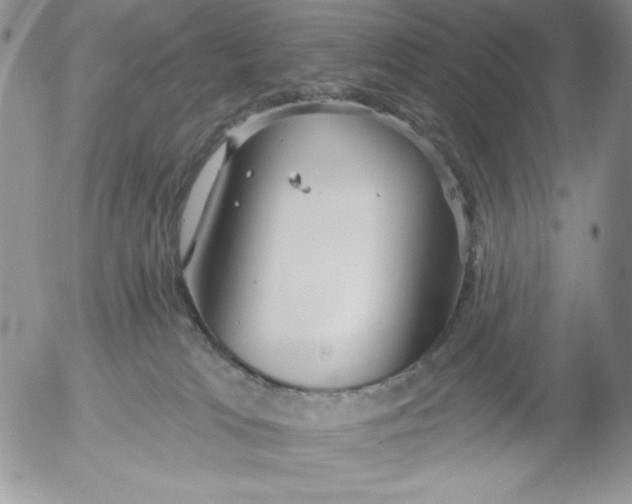 X0000053060037200508011925