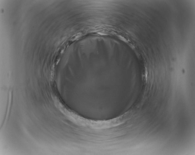 X0000053060039200508011925