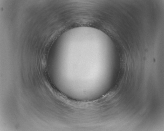 X0000053060040200508011925