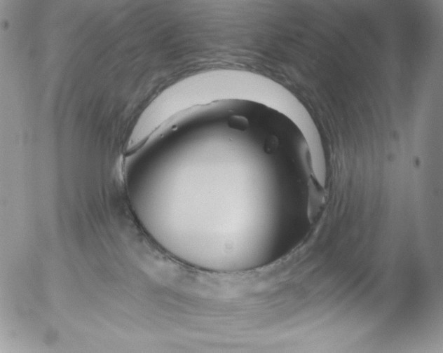 X0000053060041200508011925