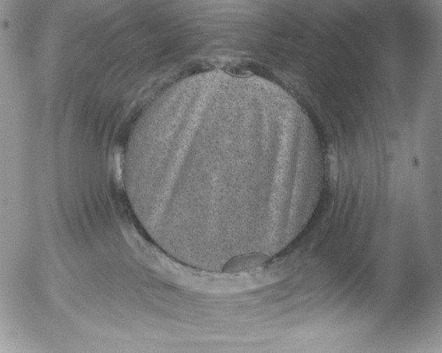 X0000053060042200508011925