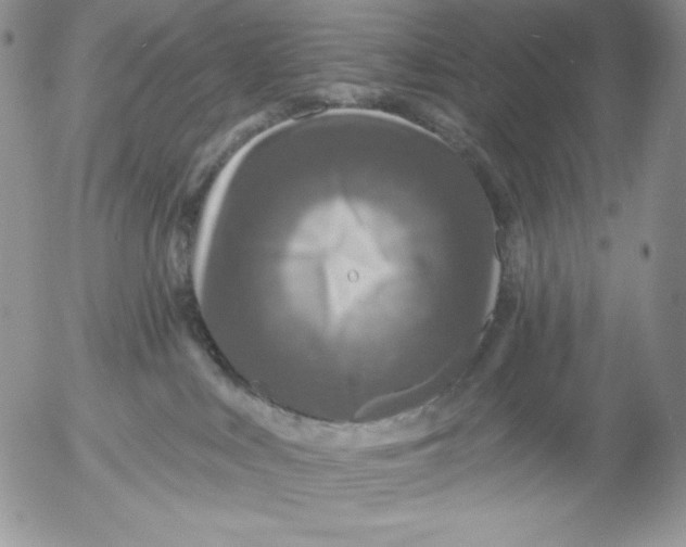 X0000053060043200508011925