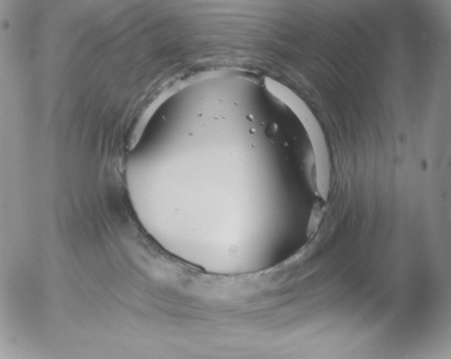 X0000053060045200508011925